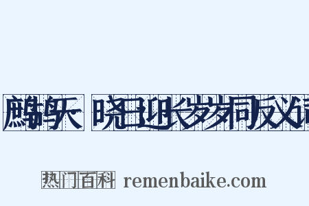 鹧鸪天·晓日迎长岁岁同反义词是什么意思的图片